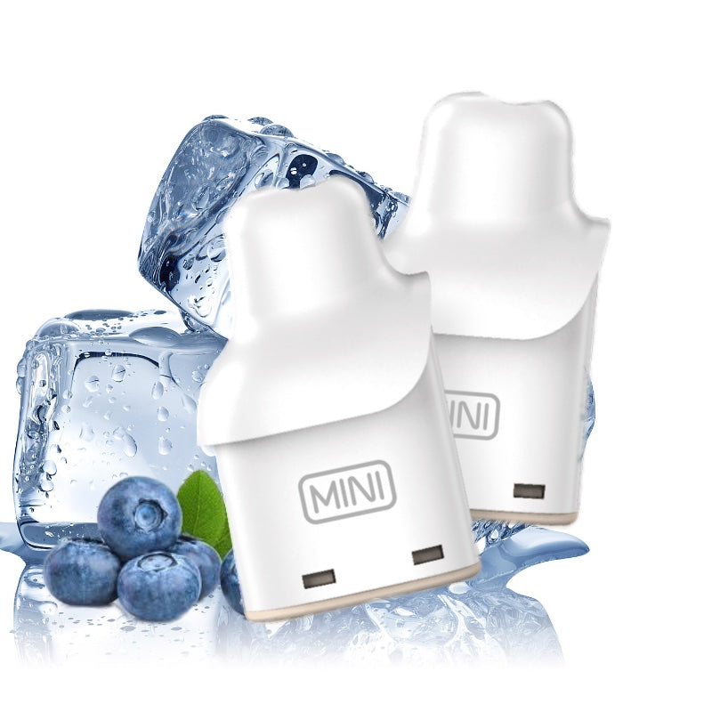 Smarter Mini Pods (2 Stück)