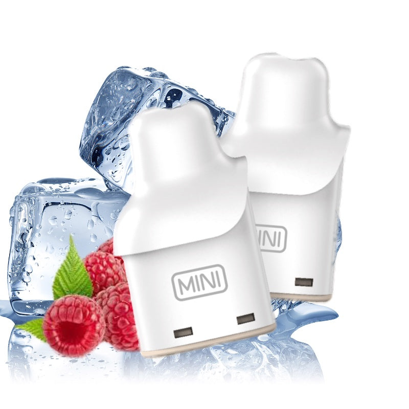 Smarter Mini Pods (2 Stück)