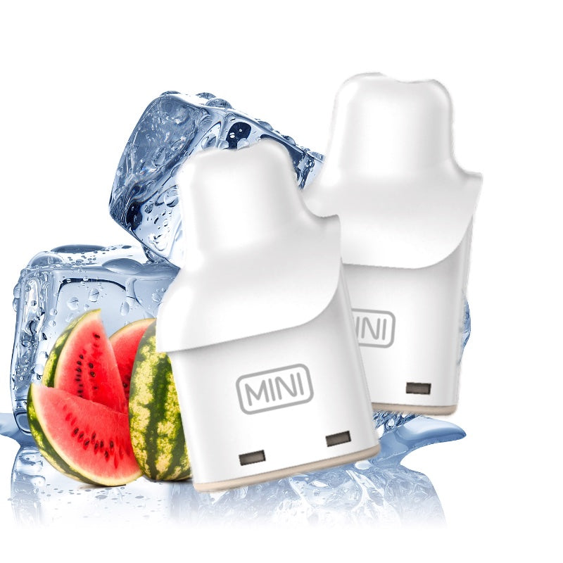 Smarter Mini Pods (2 Stück)