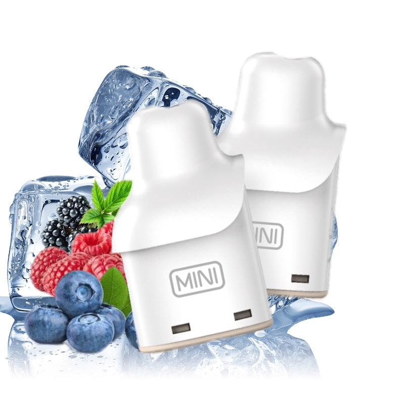 Smarter Mini Pods (2 Stück)